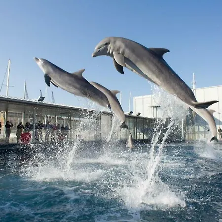 Nervi Cozy Loft Sapore Di Mare Vicino Acquario Di * Genova